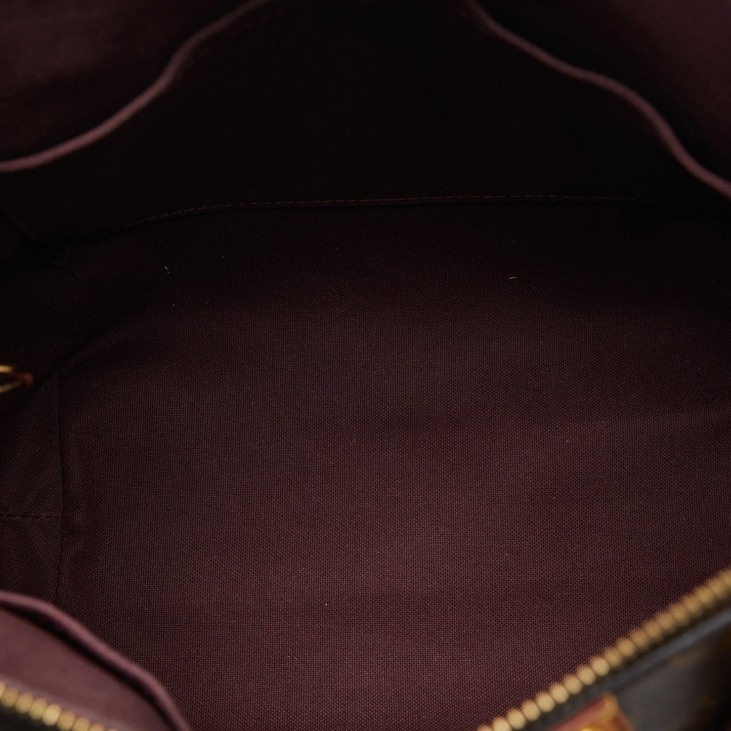 LOUIS VUITTON Monogram Turenne PM Satchel