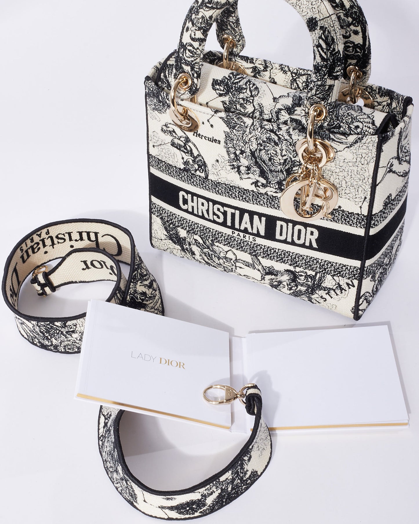 Dior Cream & Black Toile De Jouy Zodiac Embroidery Canvas Medium Lady D-Lite Bag
