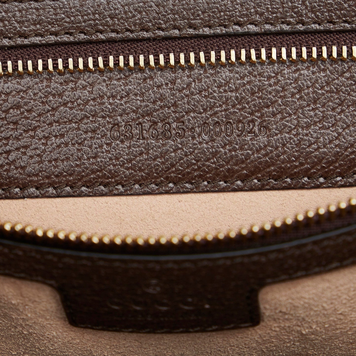 Brown Gucci GG Supreme Ophidia Tote