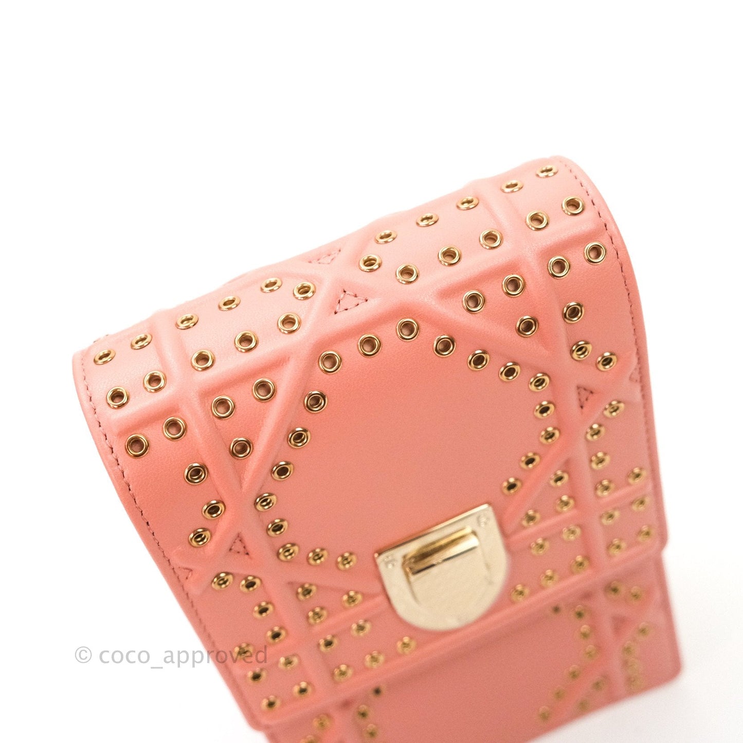 Christian Dior Lambskin Studded Vertical Diorama Dust Candy