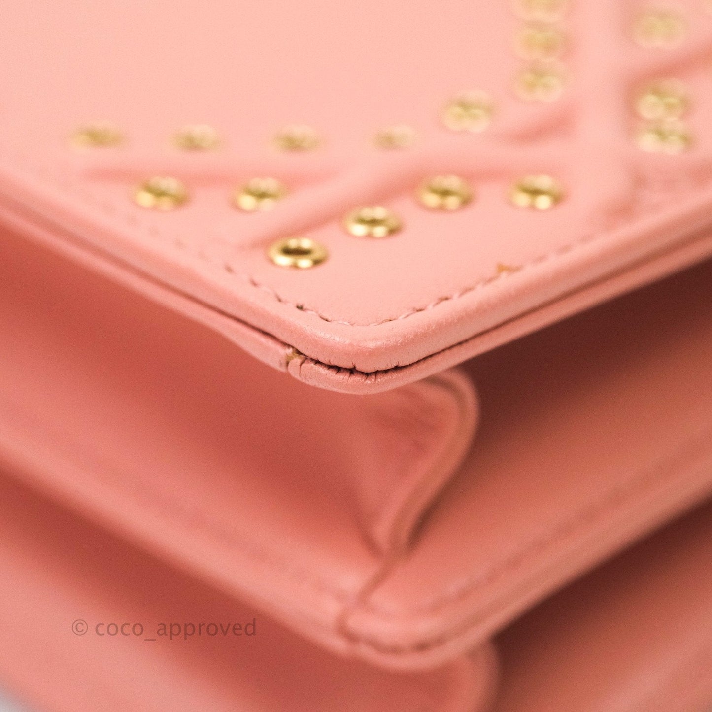 Christian Dior Lambskin Studded Vertical Diorama Dust Candy