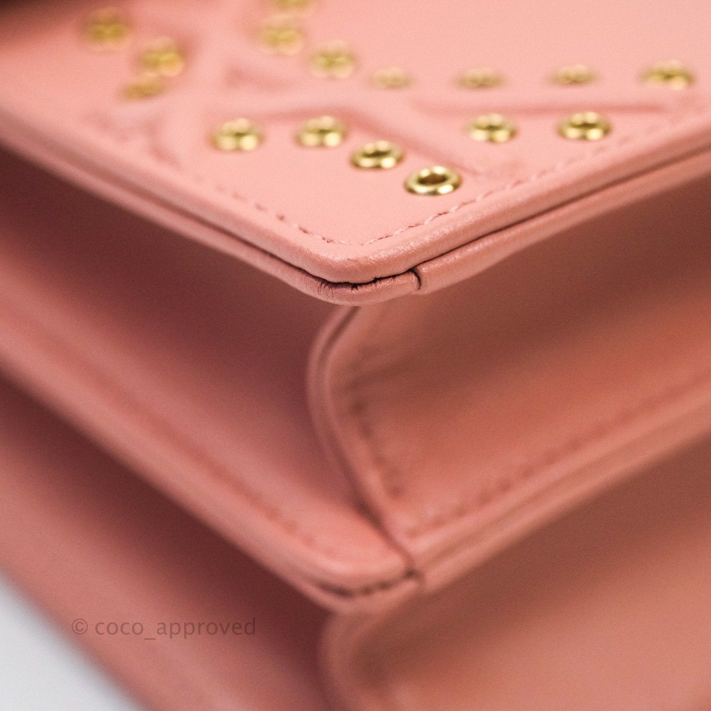 Christian Dior Lambskin Studded Vertical Diorama Dust Candy