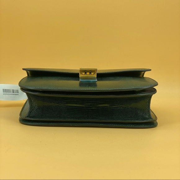 CELINE classic bag Lizard skin