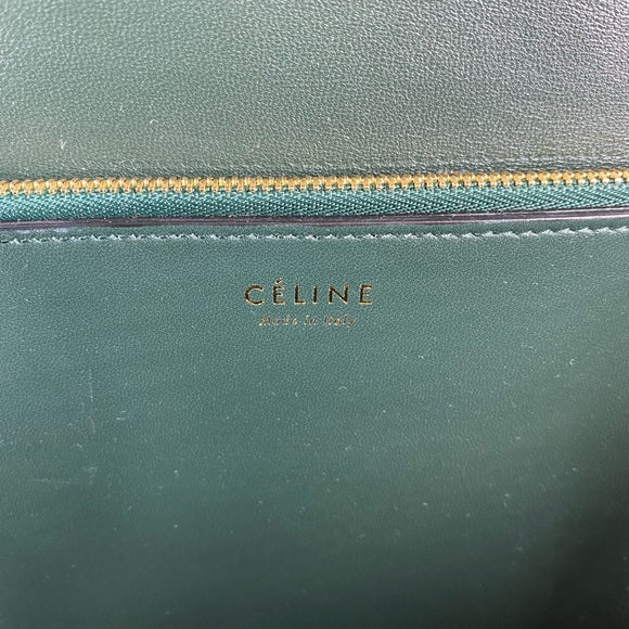 CELINE classic bag Lizard skin