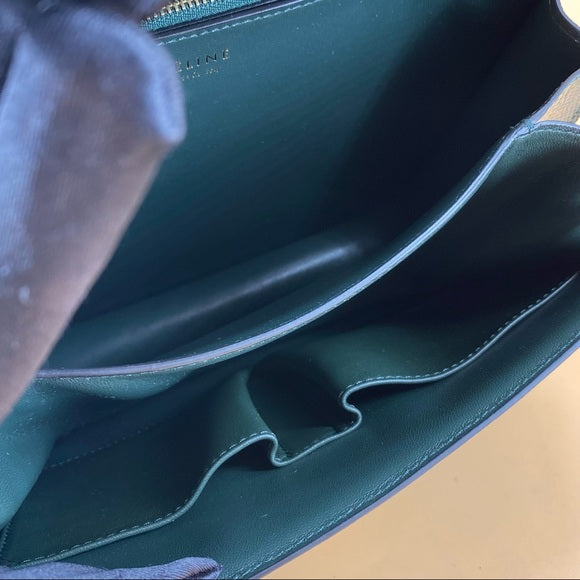 CELINE classic bag Lizard skin