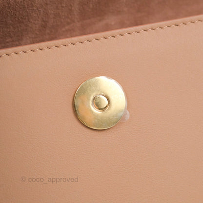 Christian Dior Saddle Belt Pouch Dusty Pink Matte Calfskin Gold Hardware