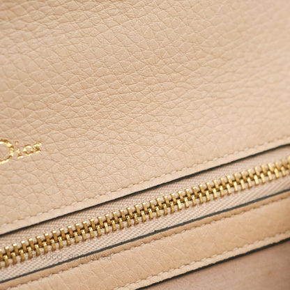 Christian Dior Small Diorama Calfskin Flap Bag Nude Pink Gold Hardware