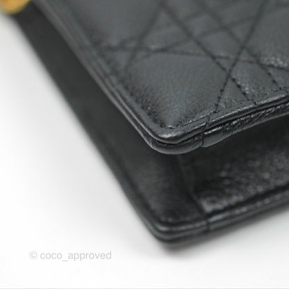 Dior Caro Zipped Pouch With Chain Black Cannage Calfskin