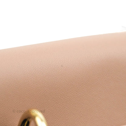 Christian Dior My ABCDior Lady Dior Fard Blush Lambskin Gold Hardware