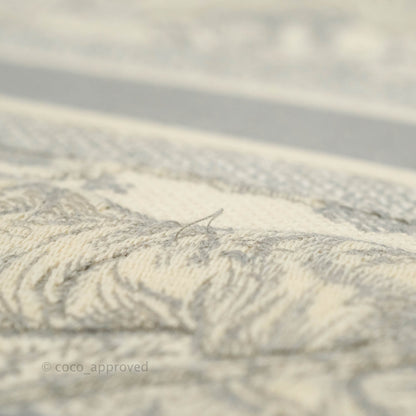 Christian Dior Medium (Old Small) Embroidered Toile De Jouy Light Grey Canvas Book Tote