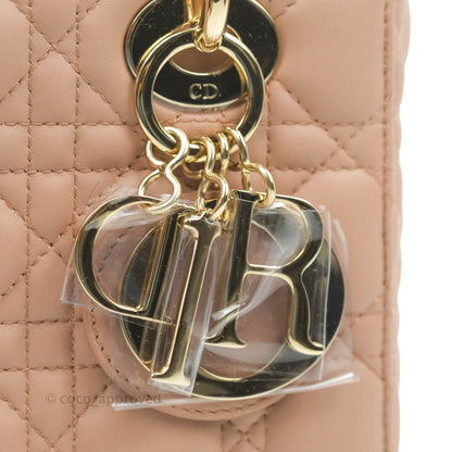 Christian Dior My ABCDior Lady Dior Fard Blush Lambskin Gold Hardware