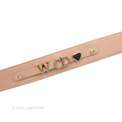 Christian Dior My ABCDior Lady Dior Fard Blush Lambskin Gold Hardware