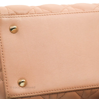 Christian Dior Medium Lady Dior Fard Blush Lambskin Gold Hardware