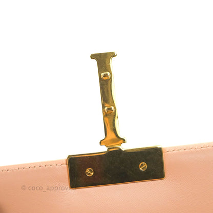 Christian Dior 30 Montaigne Box Bag Rose Des Vents Calfskin