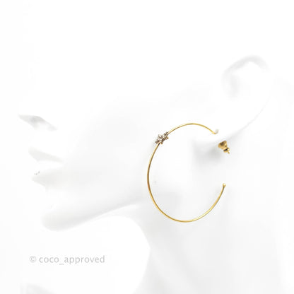 Dior J’adore Hoops Earrings Antique Gold