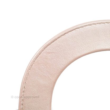 Christian Dior Mini Lady Dior Iridescent Light Pink Cannage Gold Hardware