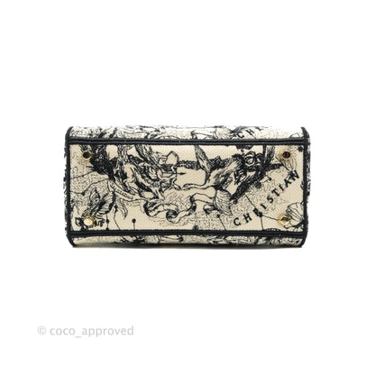 Christian Dior Medium Lady D-Lite Toile de Jouy Zodiac Embroidery Gold Hardware