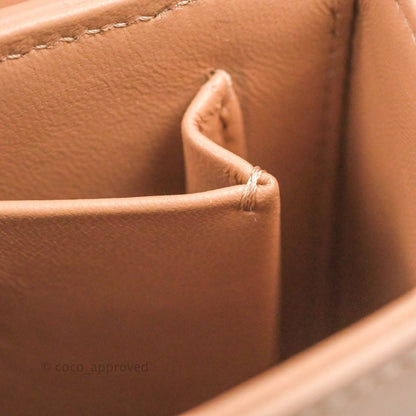 Christian Dior 30 Montaigne Box Bag Rose Des Vents Calfskin