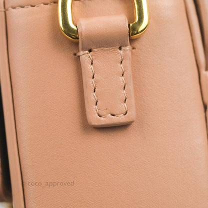 Christian Dior 30 Montaigne Box Bag Rose Des Vents Calfskin