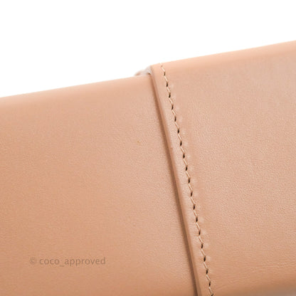 Christian Dior 30 Montaigne Box Bag Rose Des Vents Calfskin