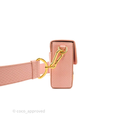 Christian Dior 30 Montaigne Box Bag Python Rose Des Vents