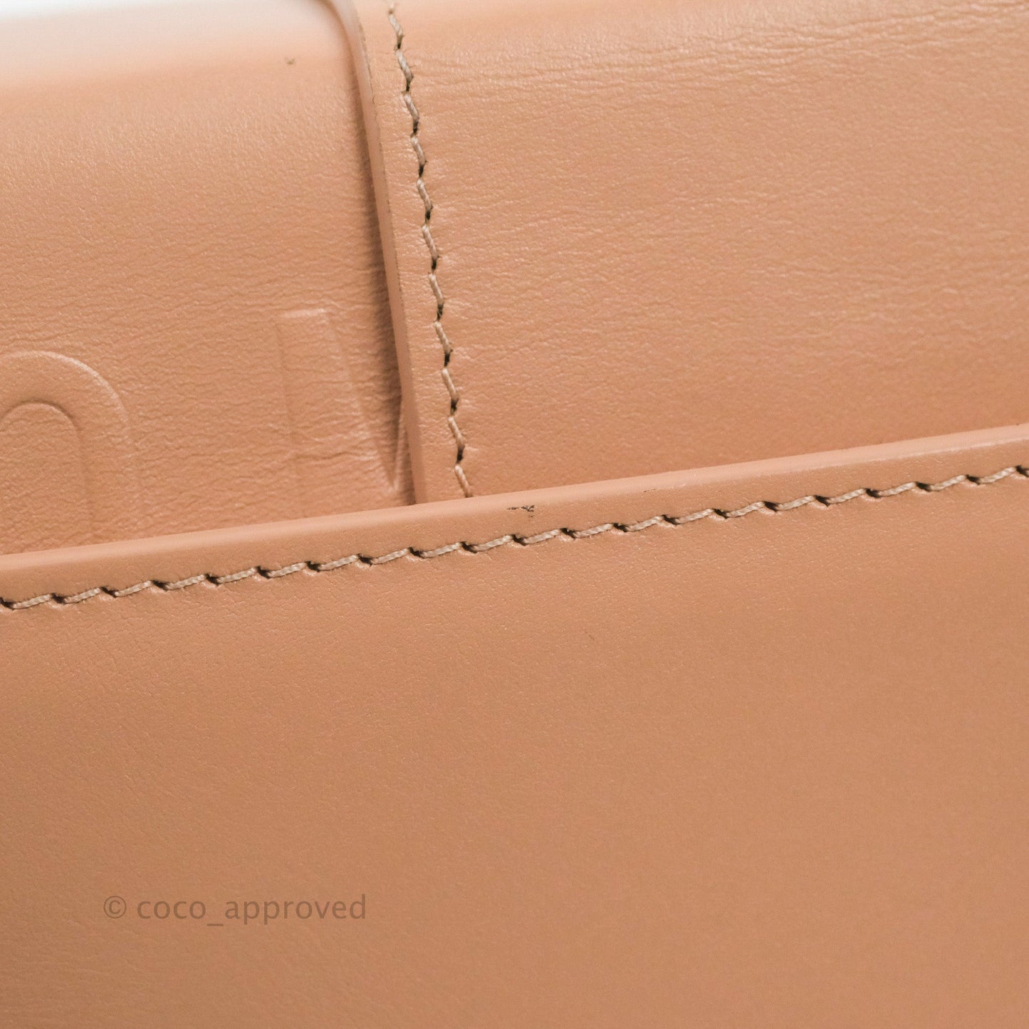 Christian Dior 30 Montaigne Box Bag Rose Des Vents Calfskin