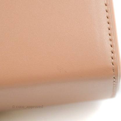 Christian Dior 30 Montaigne Box Bag Rose Des Vents Calfskin