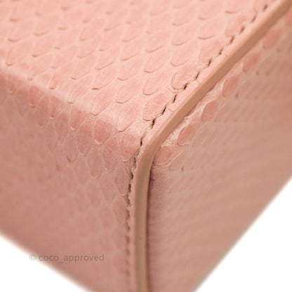Christian Dior 30 Montaigne Box Bag Python Rose Des Vents