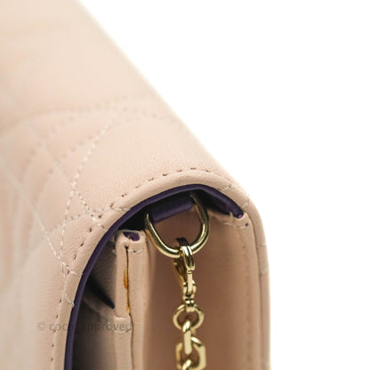 Christian Dior Miss Dior WOC Cannage Pink Lambskin Gold Hardware