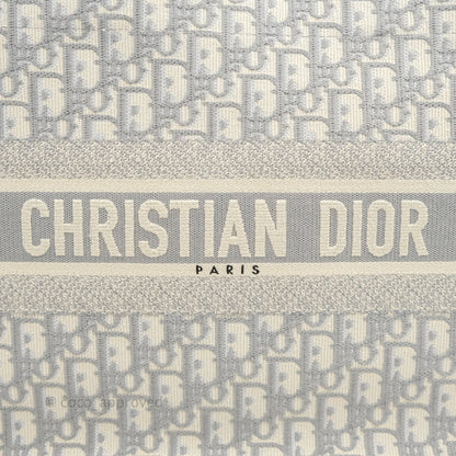 Christian Dior Medium (Old Small) Light Grey Oblique Embroidery Canvas Book Tote