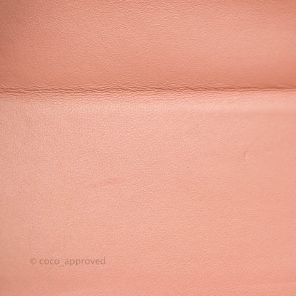 Christian Dior 30 Montaigne Box Bag Python Rose Des Vents