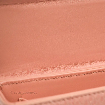 Christian Dior 30 Montaigne Box Bag Python Rose Des Vents