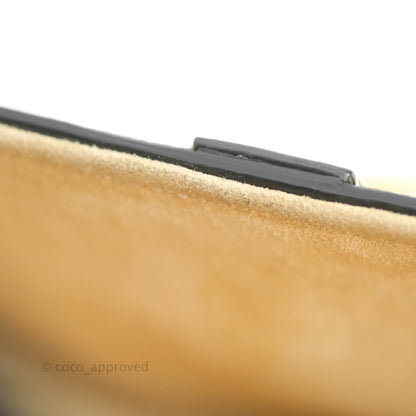 Christian Dior Mini Saddle Bag Beige Grained Calfskin Gold Hardware With Strap