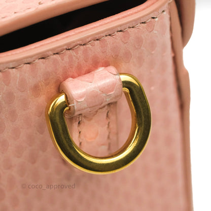 Christian Dior 30 Montaigne Box Bag Python Rose Des Vents