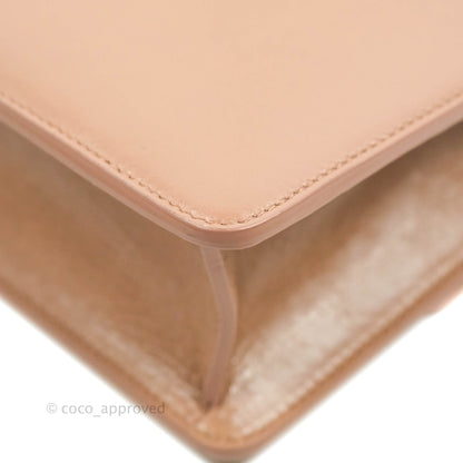 Dior 30 Montaigne Bag Rose Des Vents Crinkled Calfskin Gold Hardware