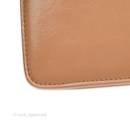 Dior 30 Montaigne Bag Rose Des Vents Crinkled Calfskin Gold Hardware