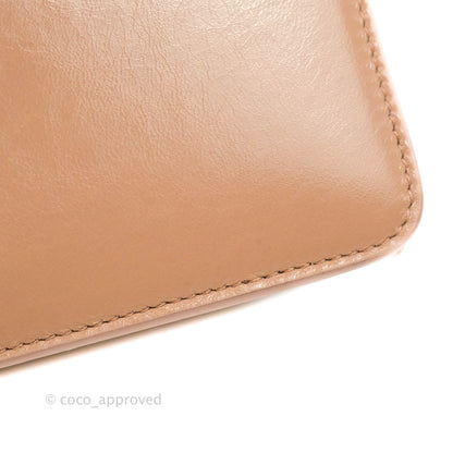 Dior 30 Montaigne Bag Rose Des Vents Crinkled Calfskin Gold Hardware
