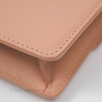 Dior Micro 30 Montaigne Flap Bag Rose Des Vents Calfskin