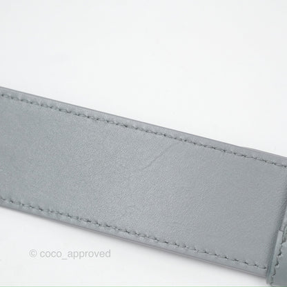 Christian Dior 30 Montaigne Box Bag Grey Calfskin