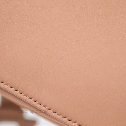 Christian Dior Saddle Bag Blush Ultramatte Calfskin