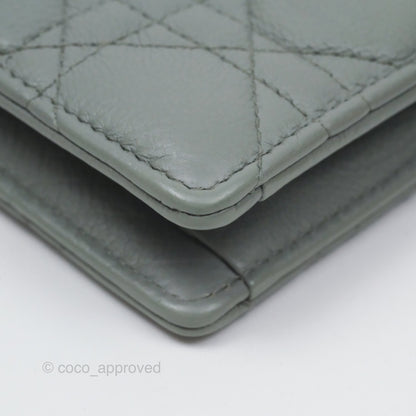 Christian Dior Dior Caro Every Dior Pouch Stone Gray Cannage Calfskin