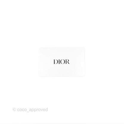Dior Small Caro Bag Latte Lucky Star White Cannage Lambskin