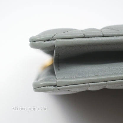 Christian Dior Dior Caro Every Dior Pouch Stone Gray Cannage Calfskin