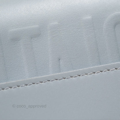 Christian Dior Medium Bobby Flap Grey Box Calfskin
