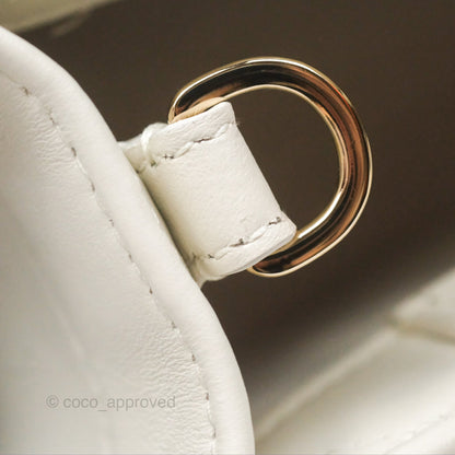 Christian Dior Mini Dior Book Tote Latte Macrocannage Calfskin Gold Hardware