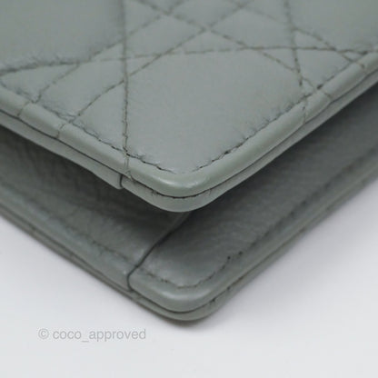 Christian Dior Dior Caro Every Dior Pouch Stone Gray Cannage Calfskin