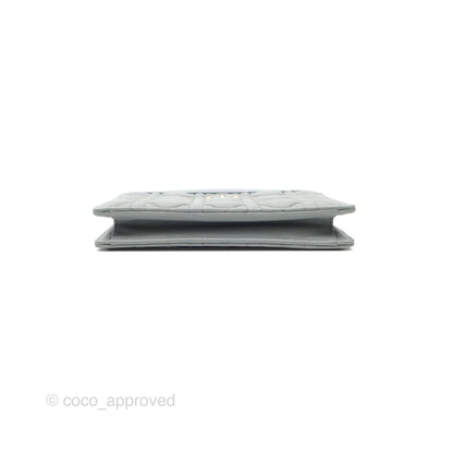Christian Dior Dior Caro Every Dior Pouch Stone Gray Cannage Calfskin