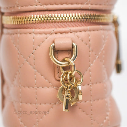 Christian Dior Micro Lady Dior Vanity Case Rose Des Vents Cannage Lambskin