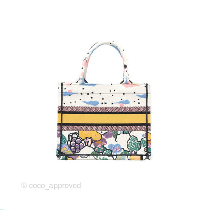 Christian Dior Small Book Tote Dior Latte Ciel de Rêve Embroidery