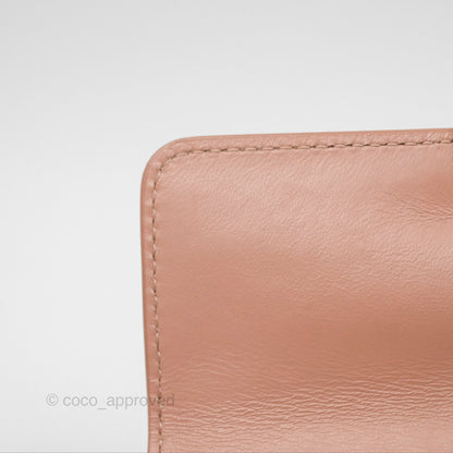 Dior Micro 30 Montaigne Flap Bag Rose Des Vents Calfskin